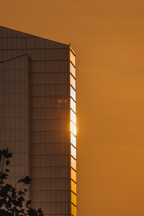 Základová fotografie zdarma na téma budova, moderní, mrakodrap