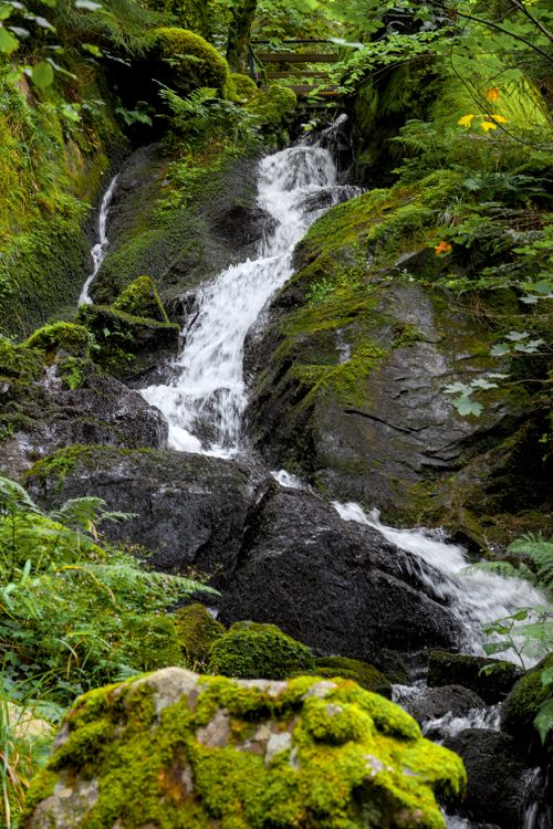 Free Serene waterfall cascading over moss-covered rocks in Stosswihr, France. Stock Photo