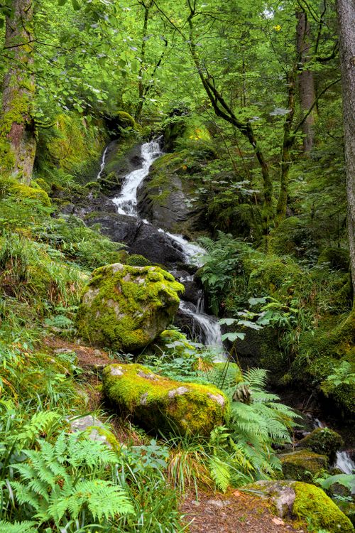 Free A vibrant waterfall cascades through lush greenery and mossy rocks in Stosswihr, France. Stock Photo