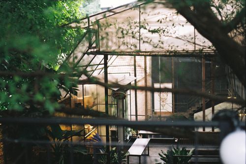 Free An urban greenhouse surrounded by trees, capturing a blend of nature and architecture indoors. Stock Photo