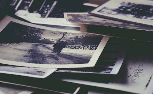 Fotobanka s bezplatnými fotkami na tému čiernobiely, čierny a biely, fotografia