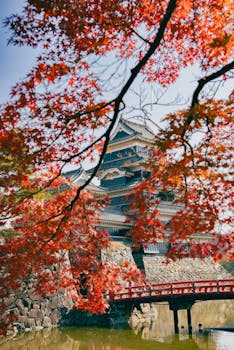 Stunning autumn scene at Matsumoto Castle with vivid red maple leaves.