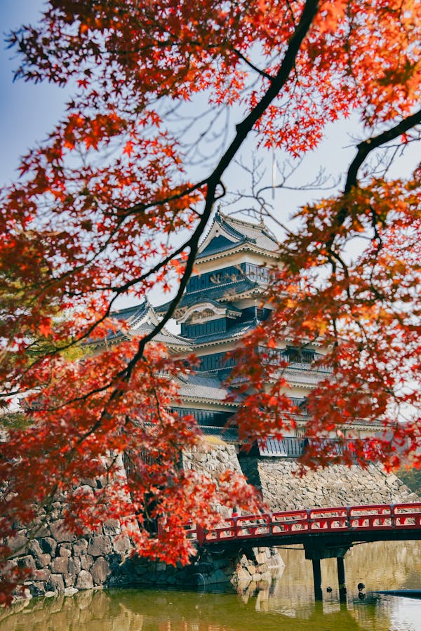 Tokyo Wallpaper 4k Photos, Download The BEST Free Tokyo Wallpaper 4k