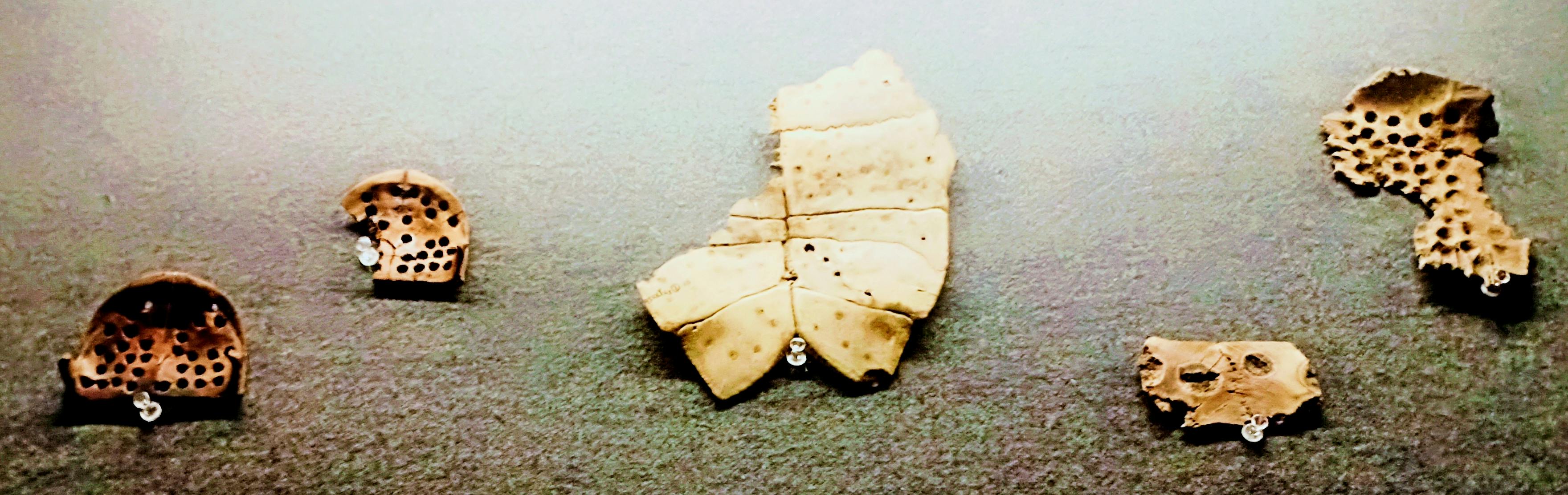 Calendar with Sticky Notes