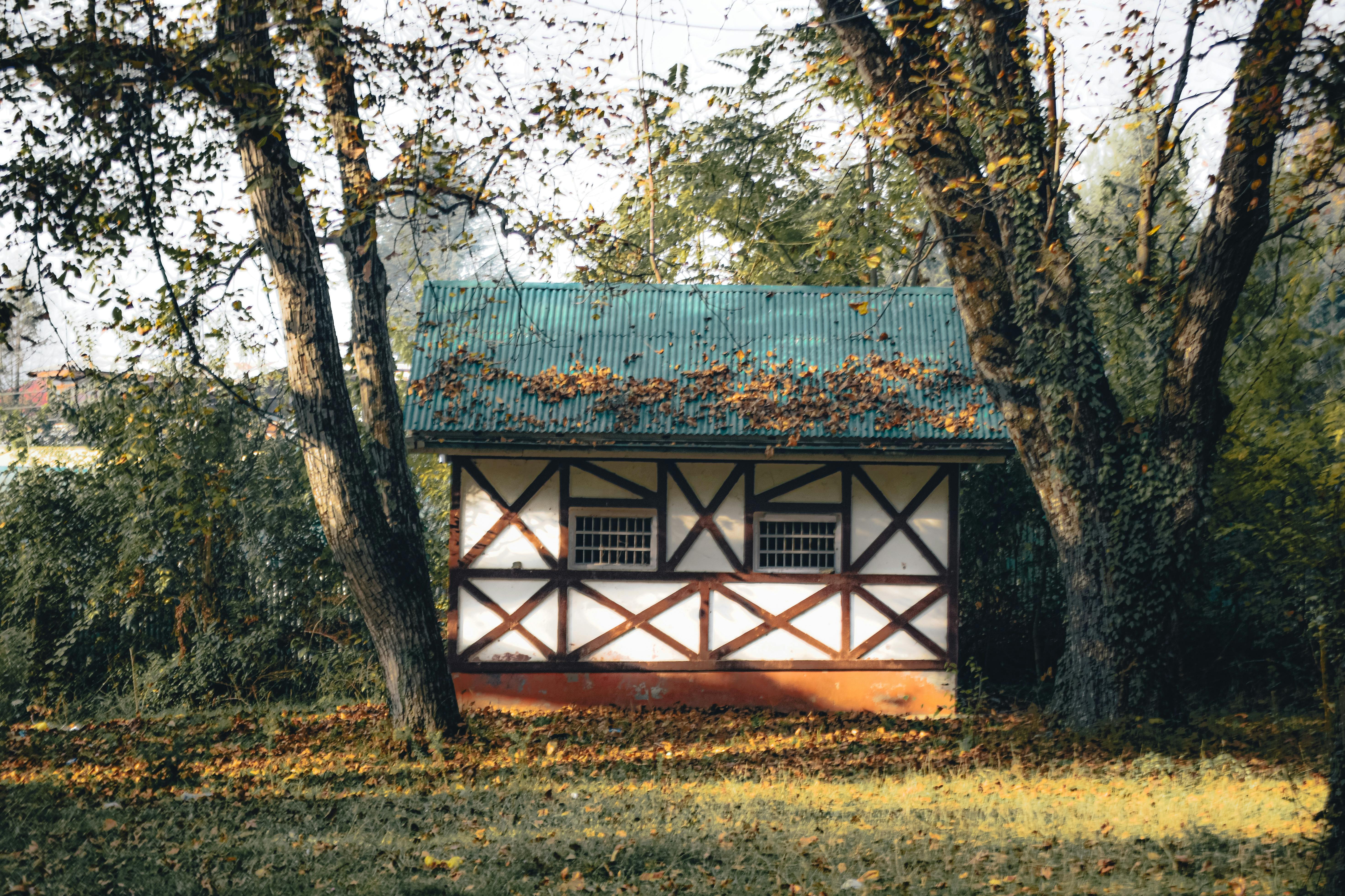 Chalet luxueux en forêt