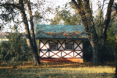 Free Rustic cottage surrounded by autumn foliage in serene forest setting. Stock Photo