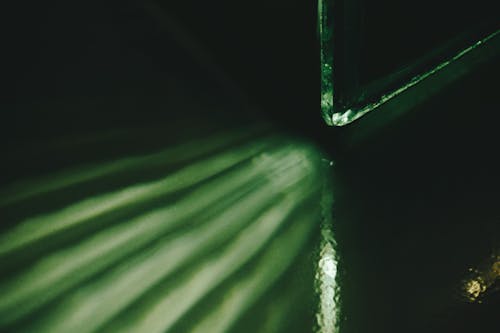 Free stock photo of glass, green, light