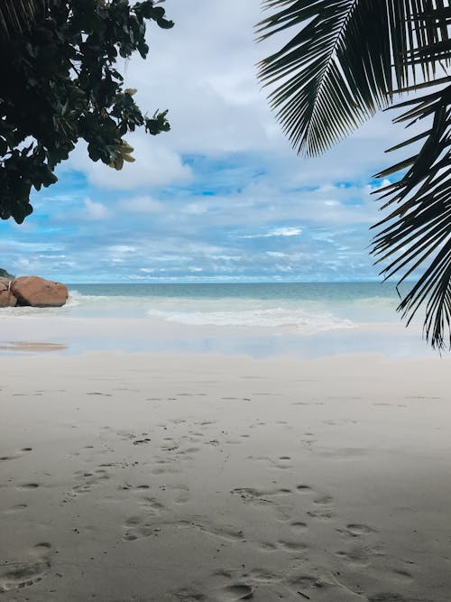 Empty Tropical Beach 