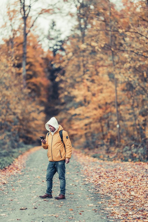 Man Standing on Footpath in Autumn Forest Looking at Smartphone