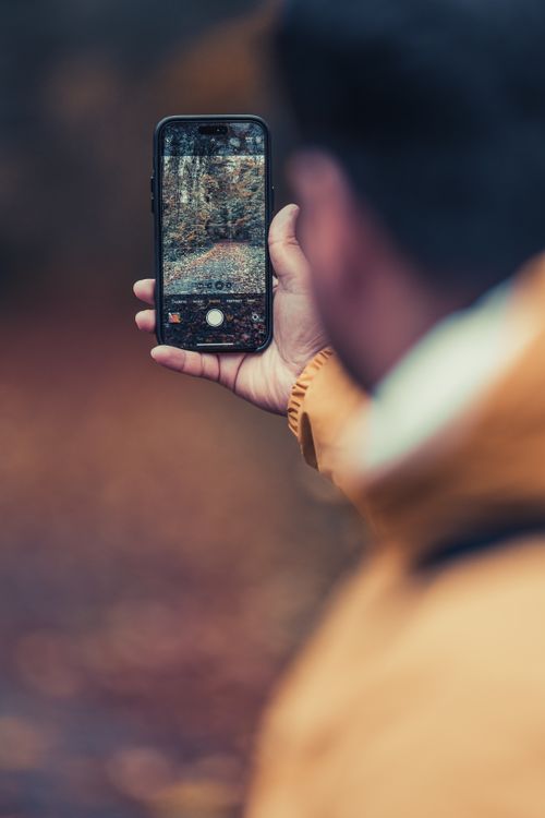 Free Person taking a picture of autumn scenery in park with smartphone. Stock Photo