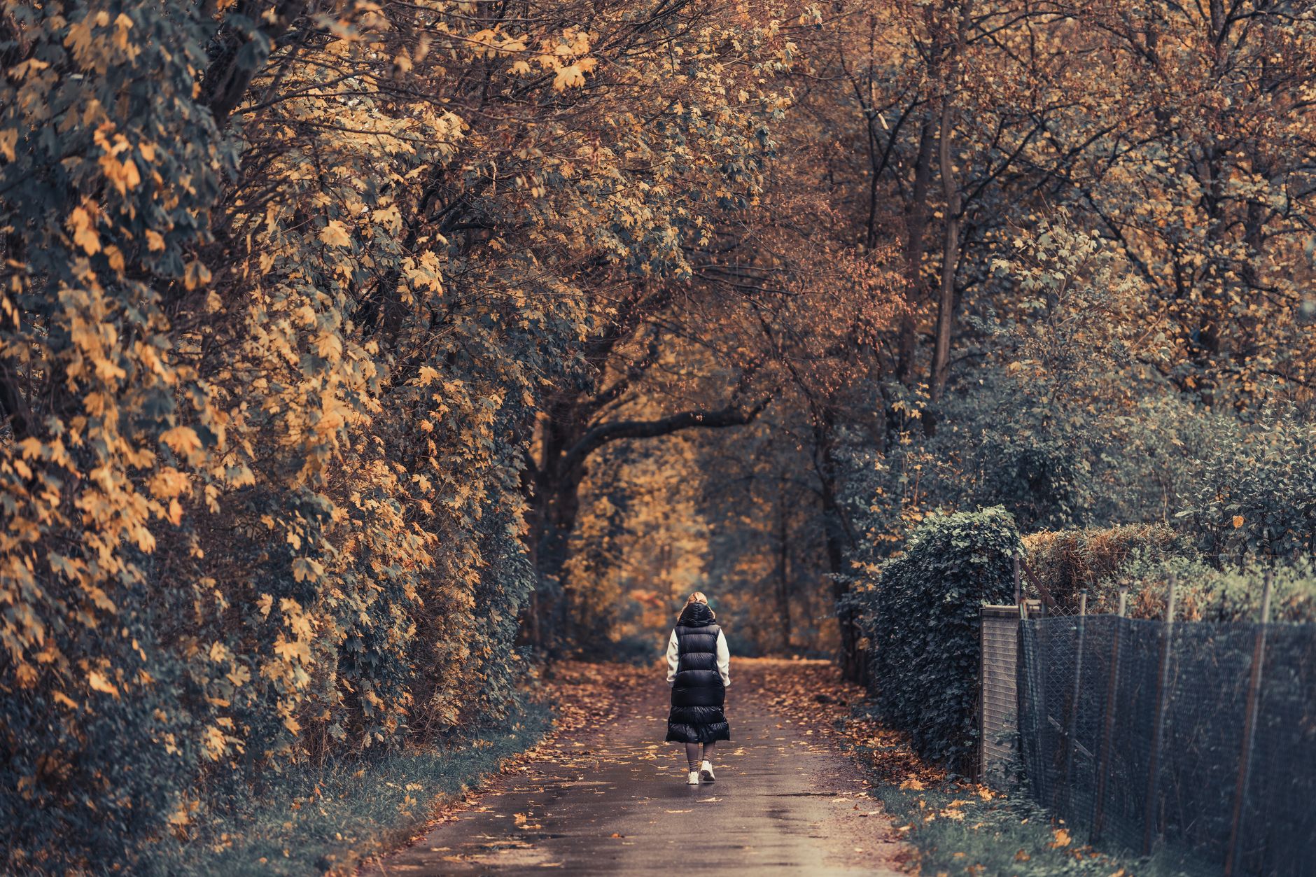 A woman strolls along a path surrounded by colorful autumn foliage, wearing a warm jacket.