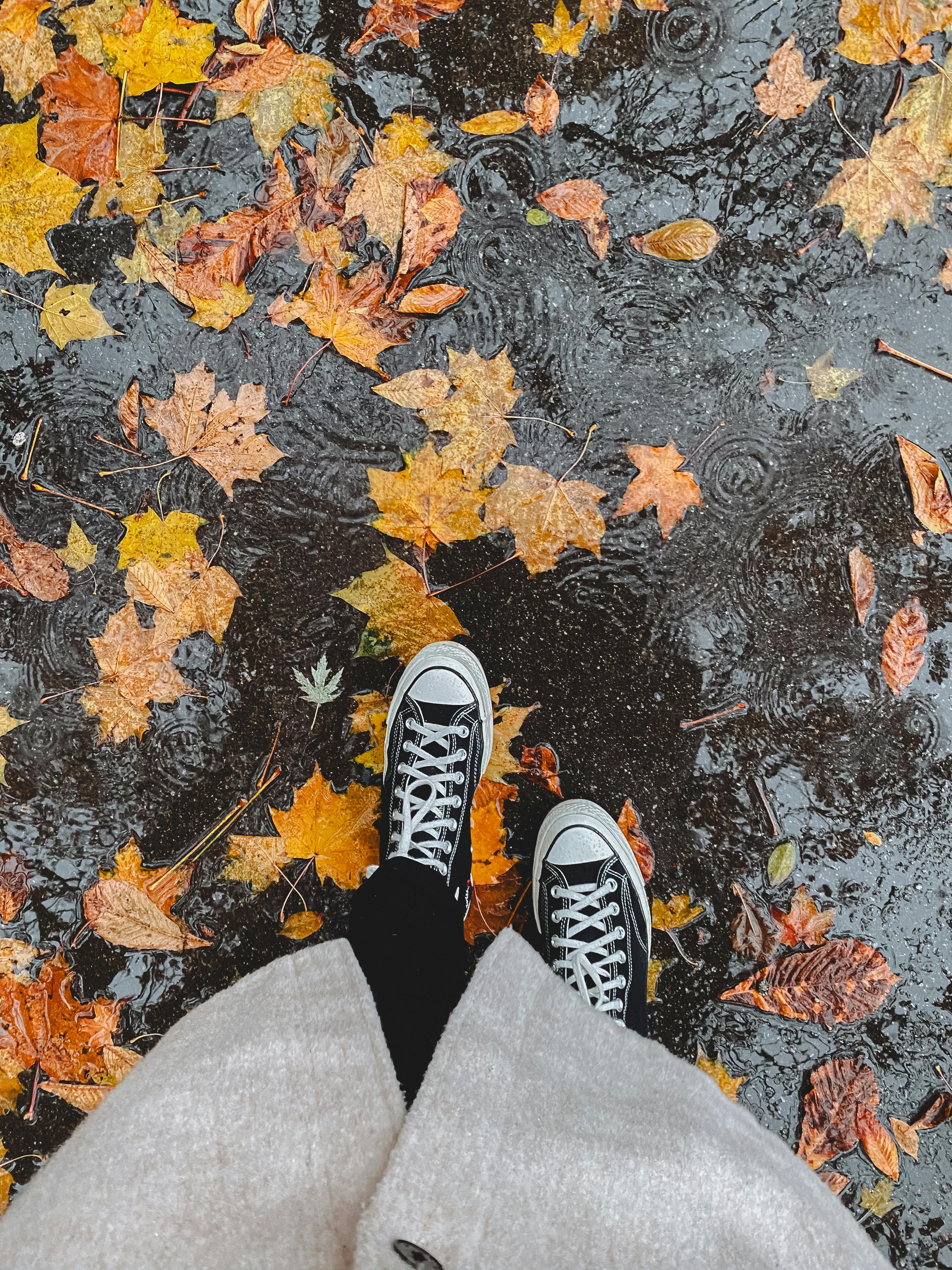 Mans Feet and Autumn Leaves · Free Stock Photo