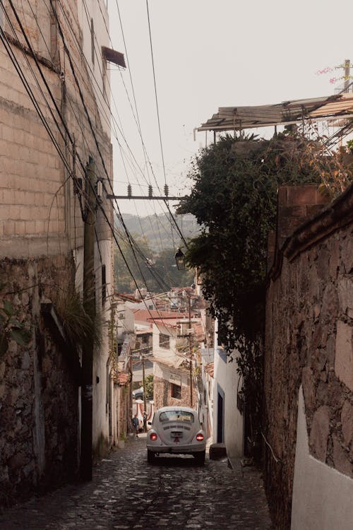 Fotos de stock gratuitas de adoquín, Beetle, calle