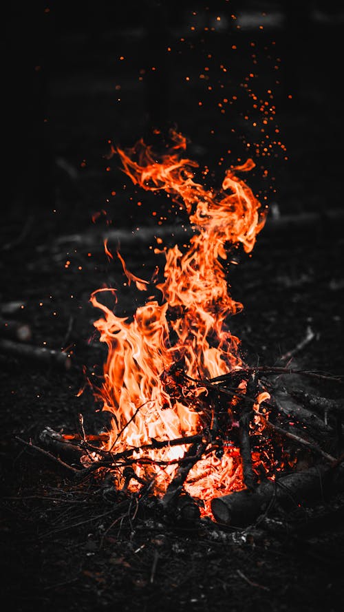 Bonfire Fire at Night