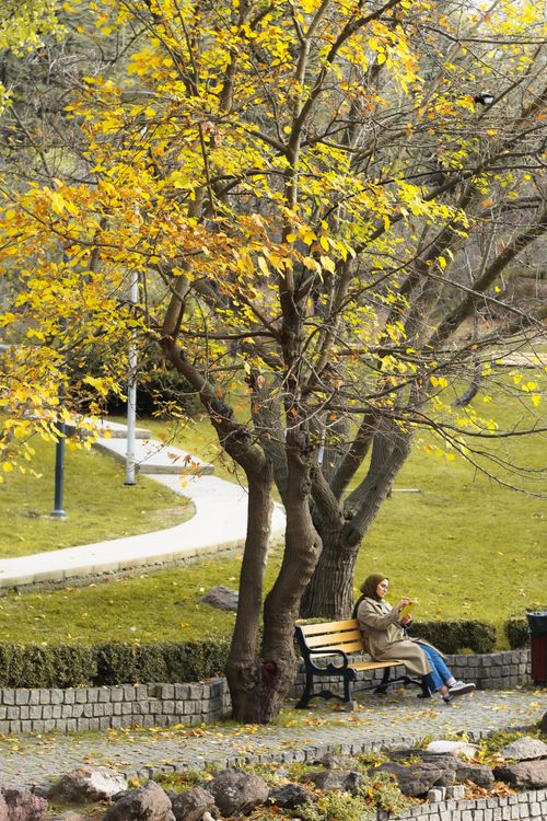 Free A woman enjoys reading a book on a park bench surrounded by autumn leaves. Stock Photo