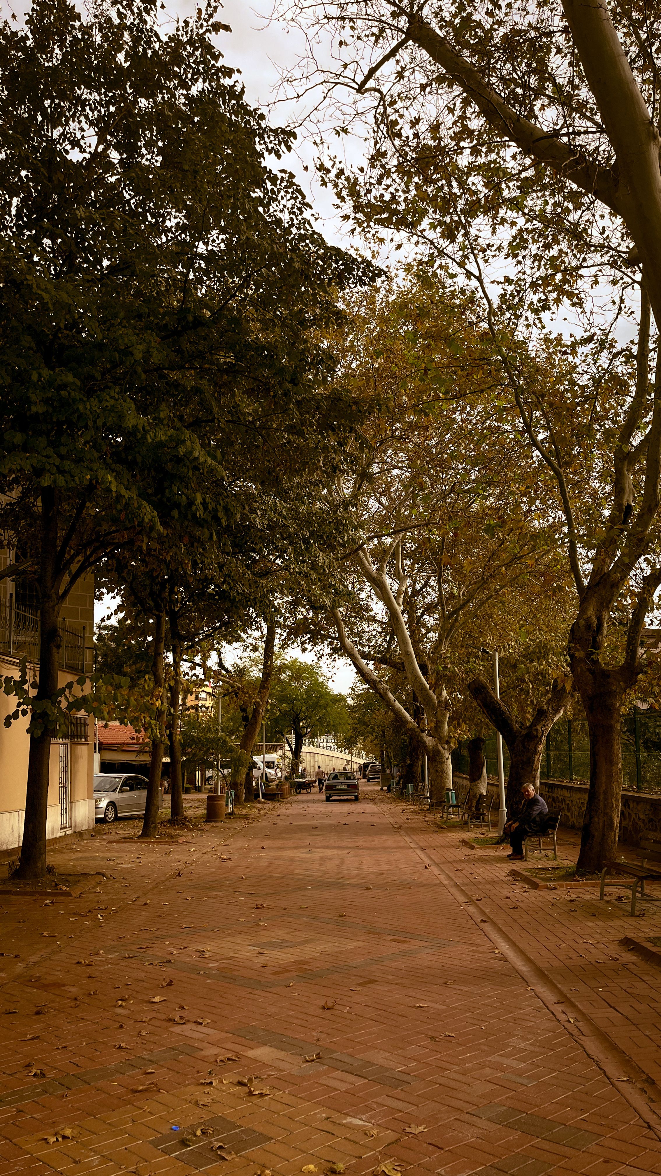 A Sidewalk in Suburb · Free Stock Photo