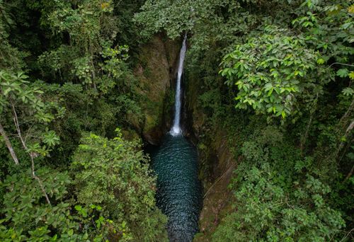 Free Aerial view of a lush forest with a stunning waterfall in Piñas, El Oro, Ecuador. Stock Photo