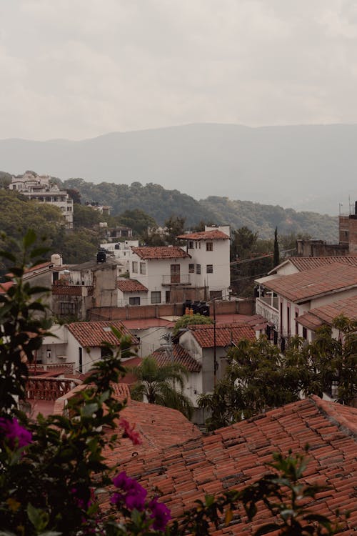 binalar, çatılar, dikey atış içeren Ücretsiz stok fotoğraf