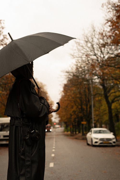 Základová fotografie zdarma na téma asfalt, auta, černý kabát