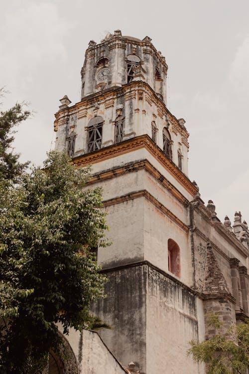 Základová fotografie zdarma na téma budova, cestování, coyoacan