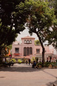 A quaint urban square with colonial architecture and lush greenery in Ciudad de México.