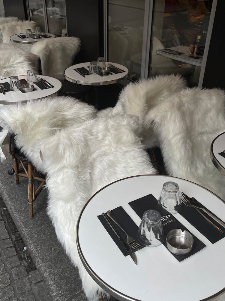 Fur On Chairs In Restaurant 