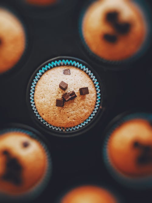 Cupcake With Chocolate Cubes