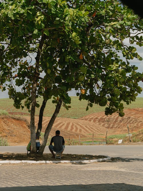 Δωρεάν στοκ φωτογραφιών με αγροτικός, άνδρας, δέντρο