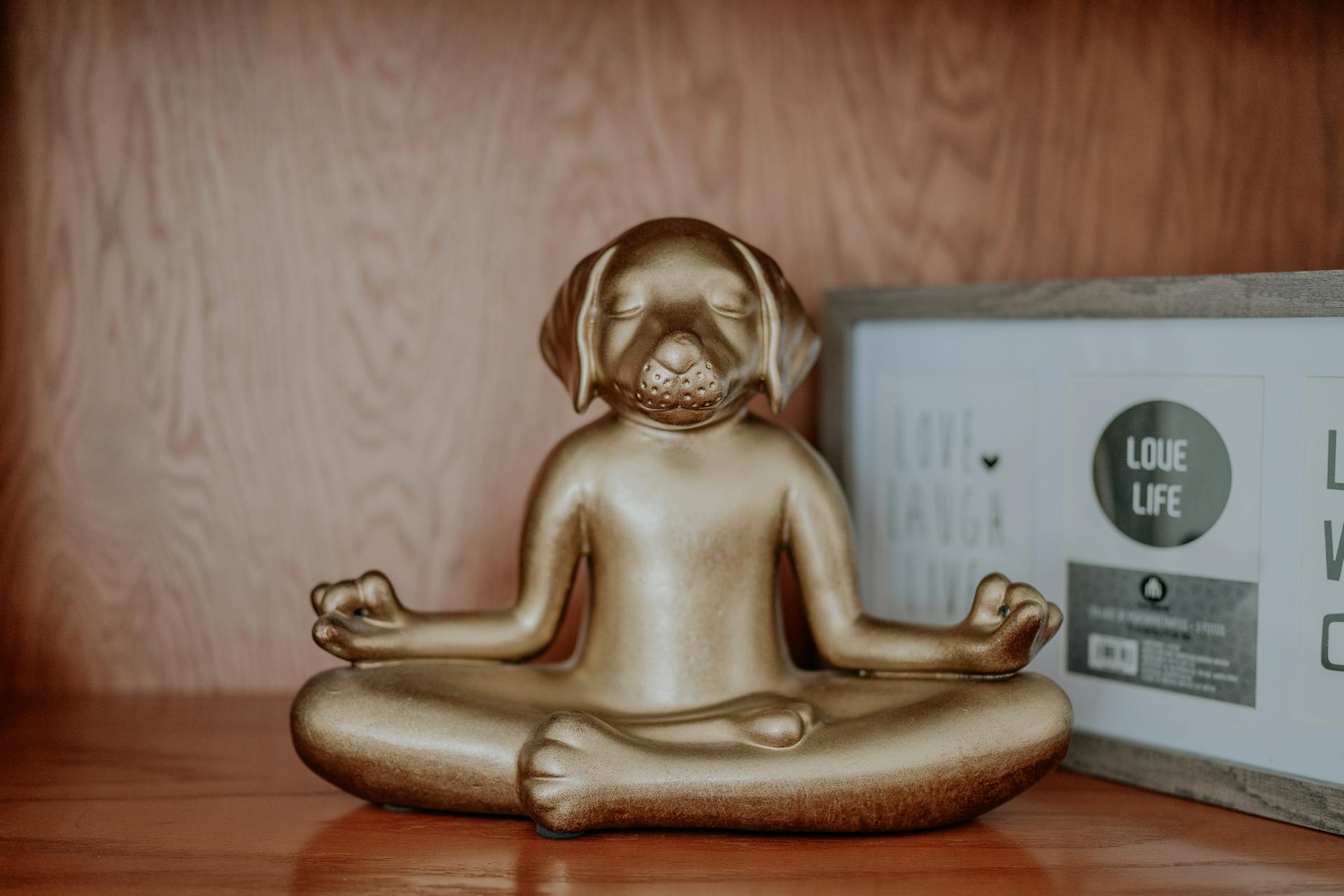 A Figurine of a Dog in a Lotus Pose