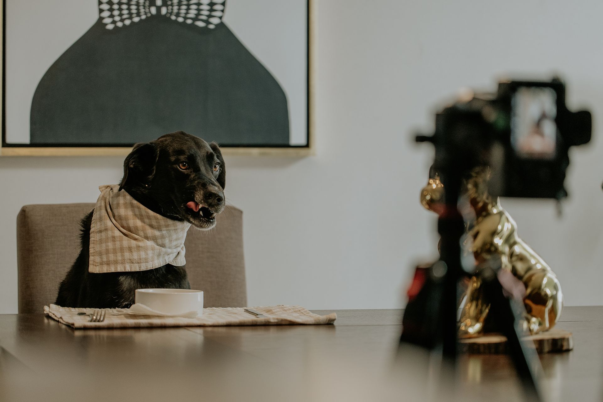 Dog in Bib by Table