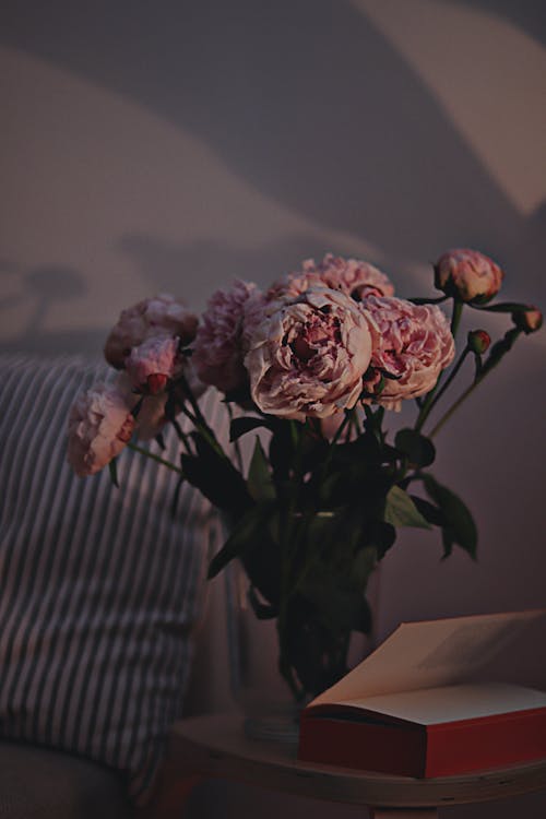 Peonies in a Vase and a Book