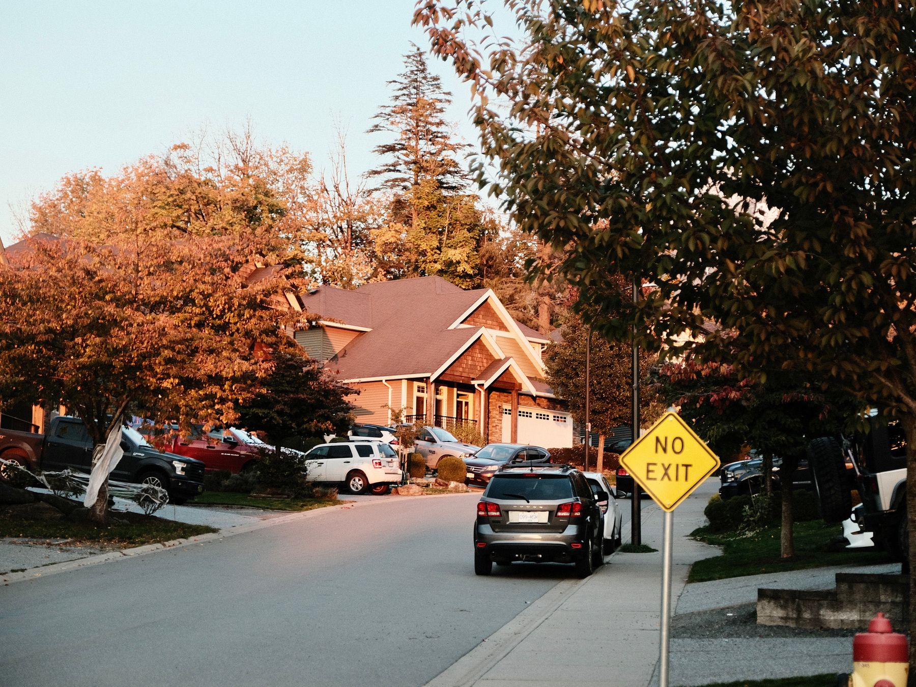 Wembury — house clearance team loading furniture into a van