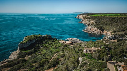 ağaçlar, deniz, deniz kıyısı içeren Ücretsiz stok fotoğraf