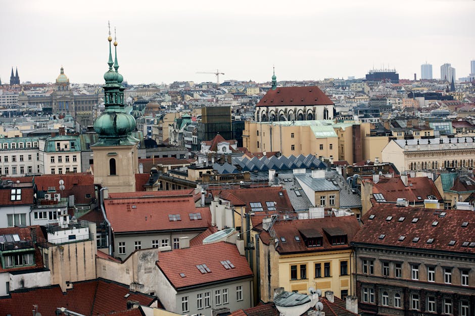 FAMU: A Historical Overview