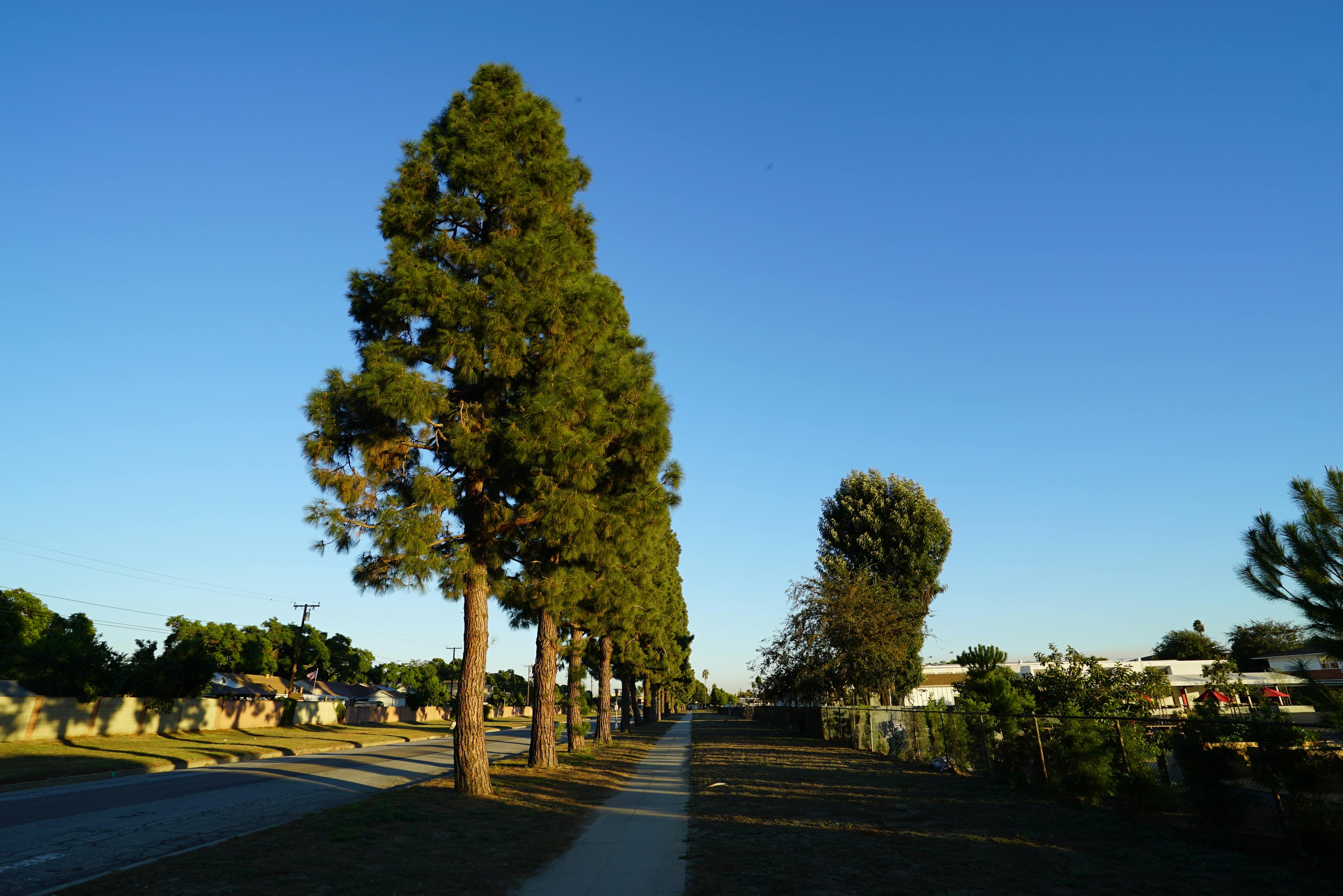 Spider web in a dimly lit corner of a home