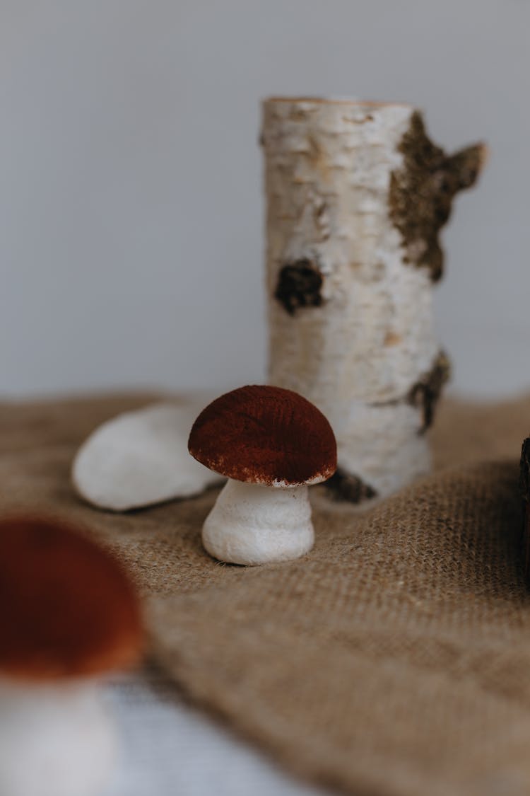 Cookies In A Shape Of Mushrooms