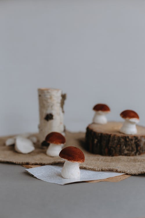 Photos gratuites de aliments, cakes, champignons