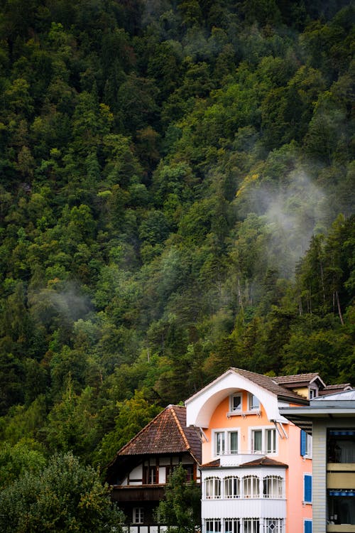 Houses beside Mountain Forest