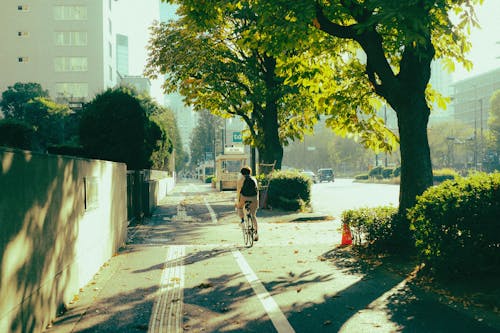 Безкоштовне стокове фото на тему «велосипед, велосипедист, вид ззаду»