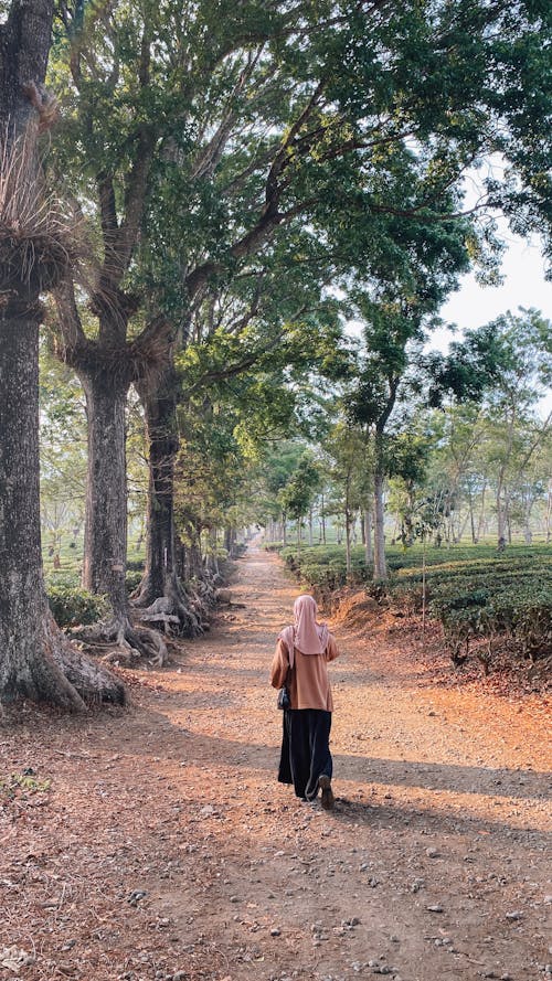 Young Woman is Walking in the Tea Garden
