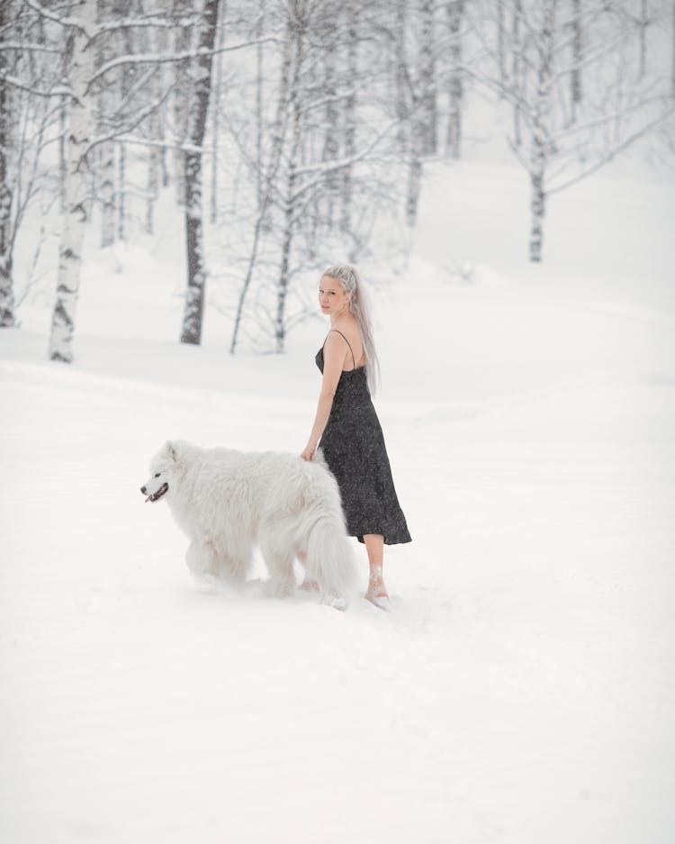 Woman In A Dress Walking In The Snow With A Dog