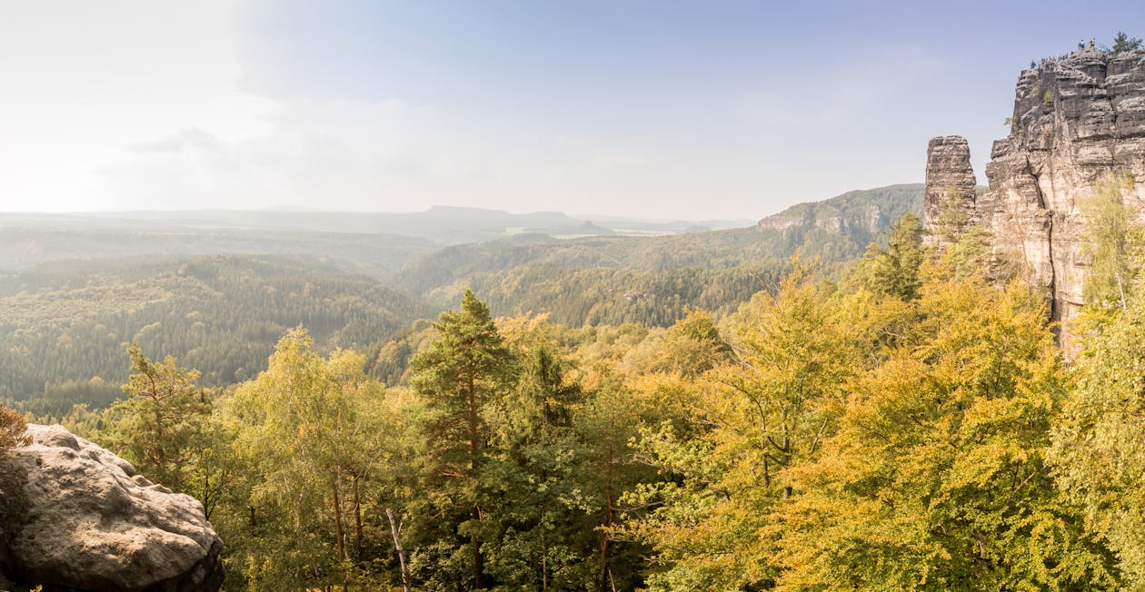 Campo Verde De Pinheiro