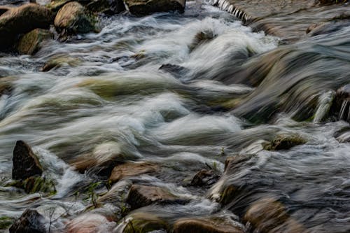 Gratis stockfoto met cascade, kreek, natuur