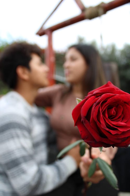 Foto profissional grátis de amor, amor de casal, amor profundo