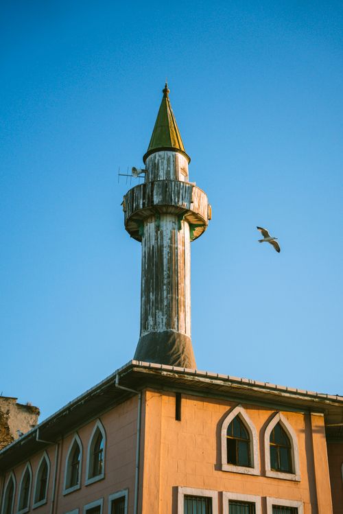 Free A historic minaret with a seagull flying by set against a clear blue sky in Istanbul, Turkey. Stock Photo