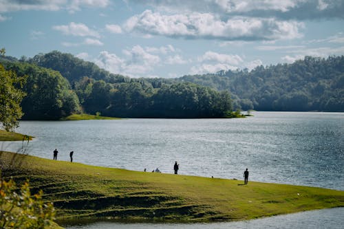 Бесплатное стоковое фото с lakeshore, гольф, деревья