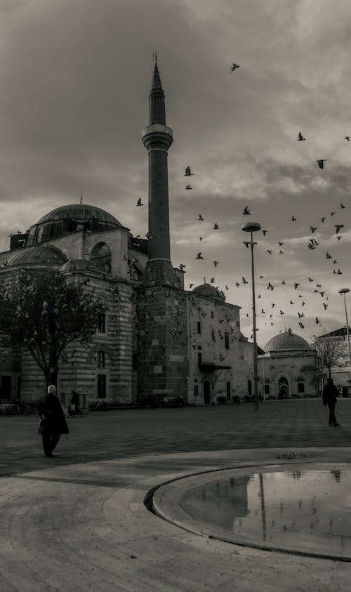 Birds Flying by Alauddevle Mosque in Gaziantep, Turkey