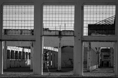 Základová fotografie zdarma na téma černobílý, jednobarevný, opuštěná budova