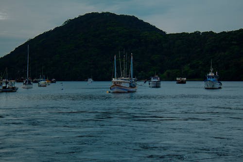 Immagine gratuita di ambiente, barca, isola