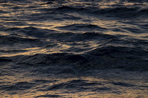 Rough Sea Surface at Sunset